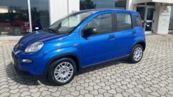 FIAT PANDA 1.0 70cv HYBRID